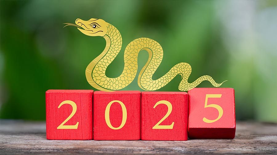 Chinese Holidays 2025: Must-Know Dates & Festivals for Your Bucket List - Comprehensive guide infographic with key insights and practical tips